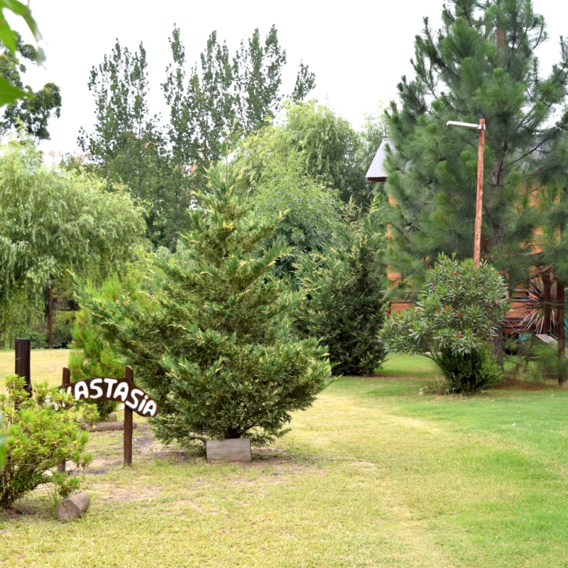 Martina, Anastasia, Ana Clara