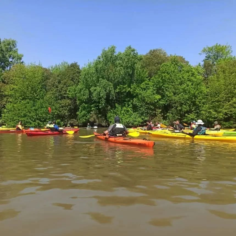 Paseos en Kayak